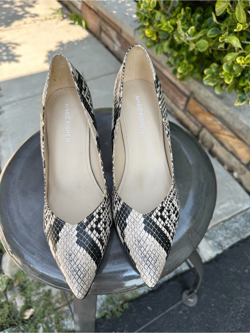 Marc Fisher Snake-Print Pointed Toe Pumps in Beige and Black